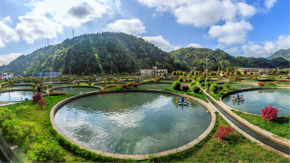 猫屎咖啡(天全服务区店)餐厅图片