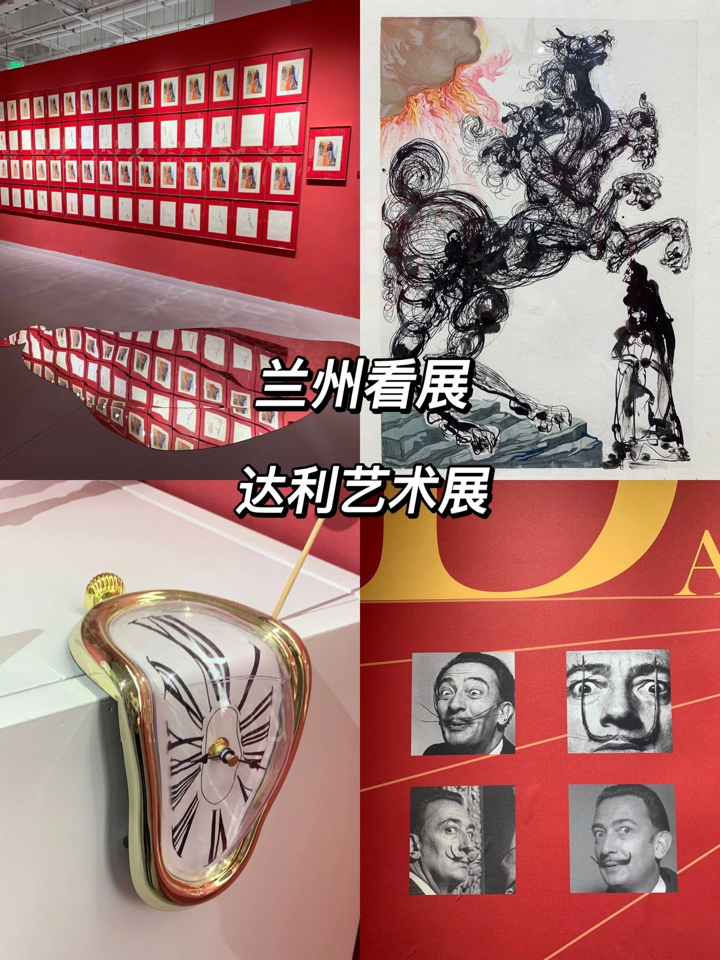 兰州“不借书展”，文艺让陌生的人相遇