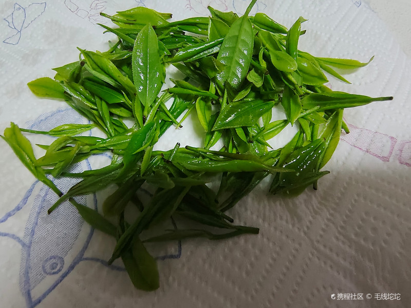 绵阳不止有熊猫、火锅和麻将，还有苔子茶