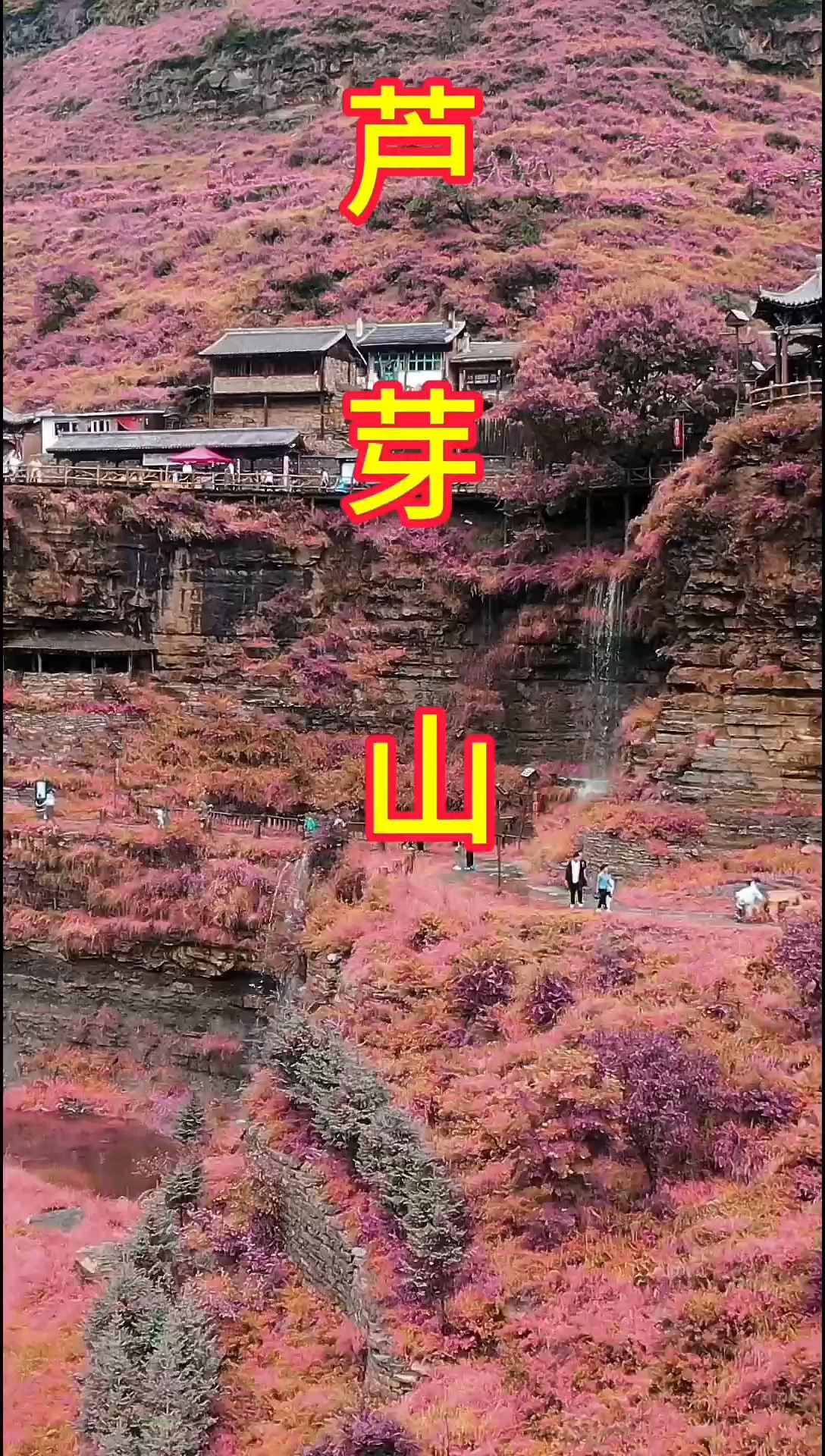 芦芽山风景