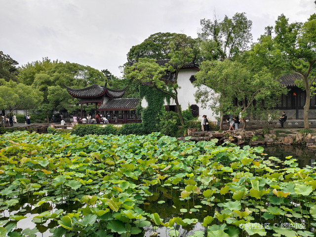 苏州拙政园-狮子林