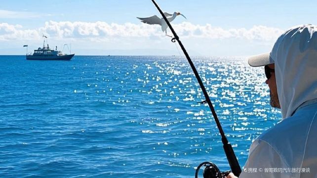 日照世帆赛海钓中心