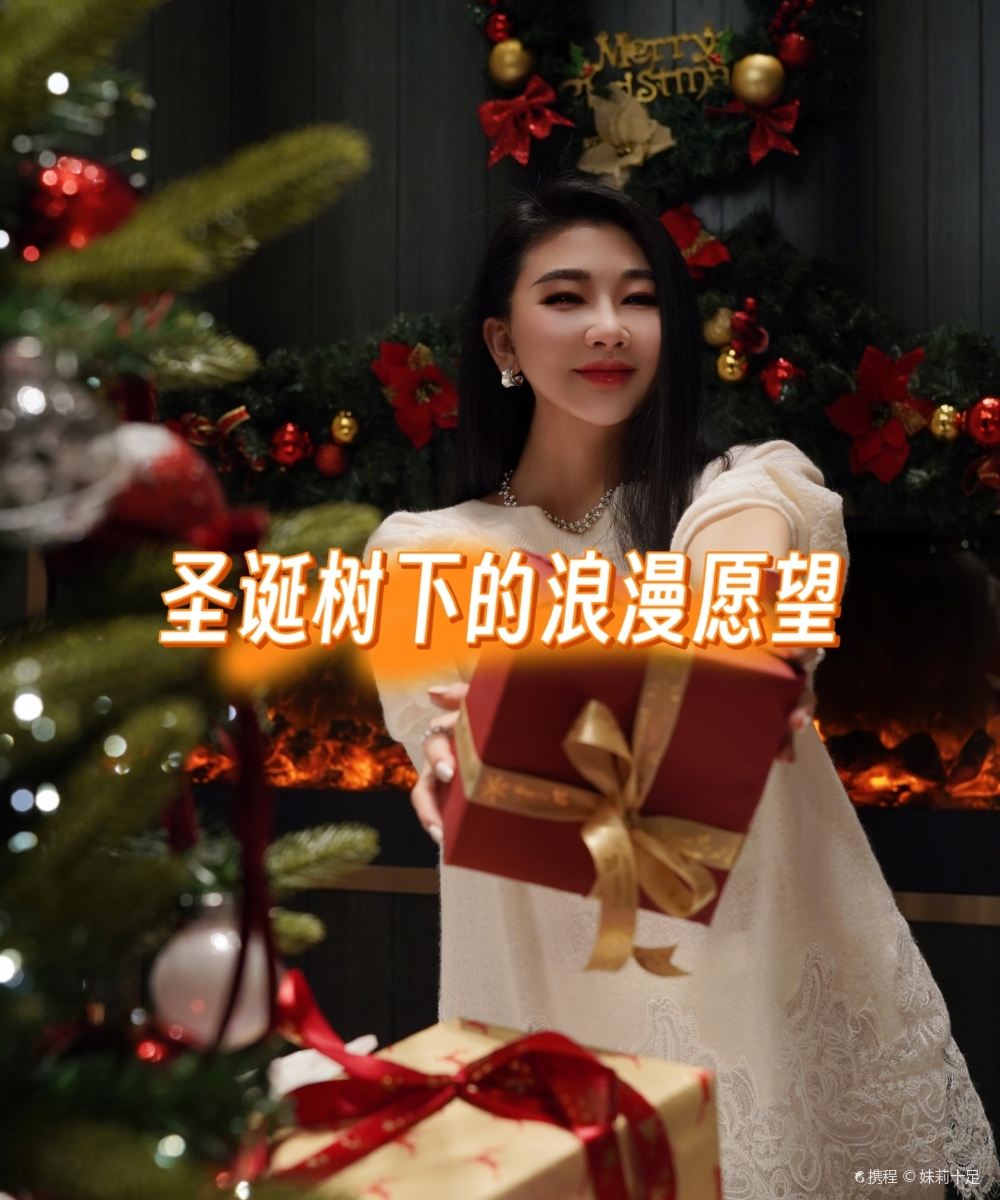 北京首都机场东海康得思酒店图片