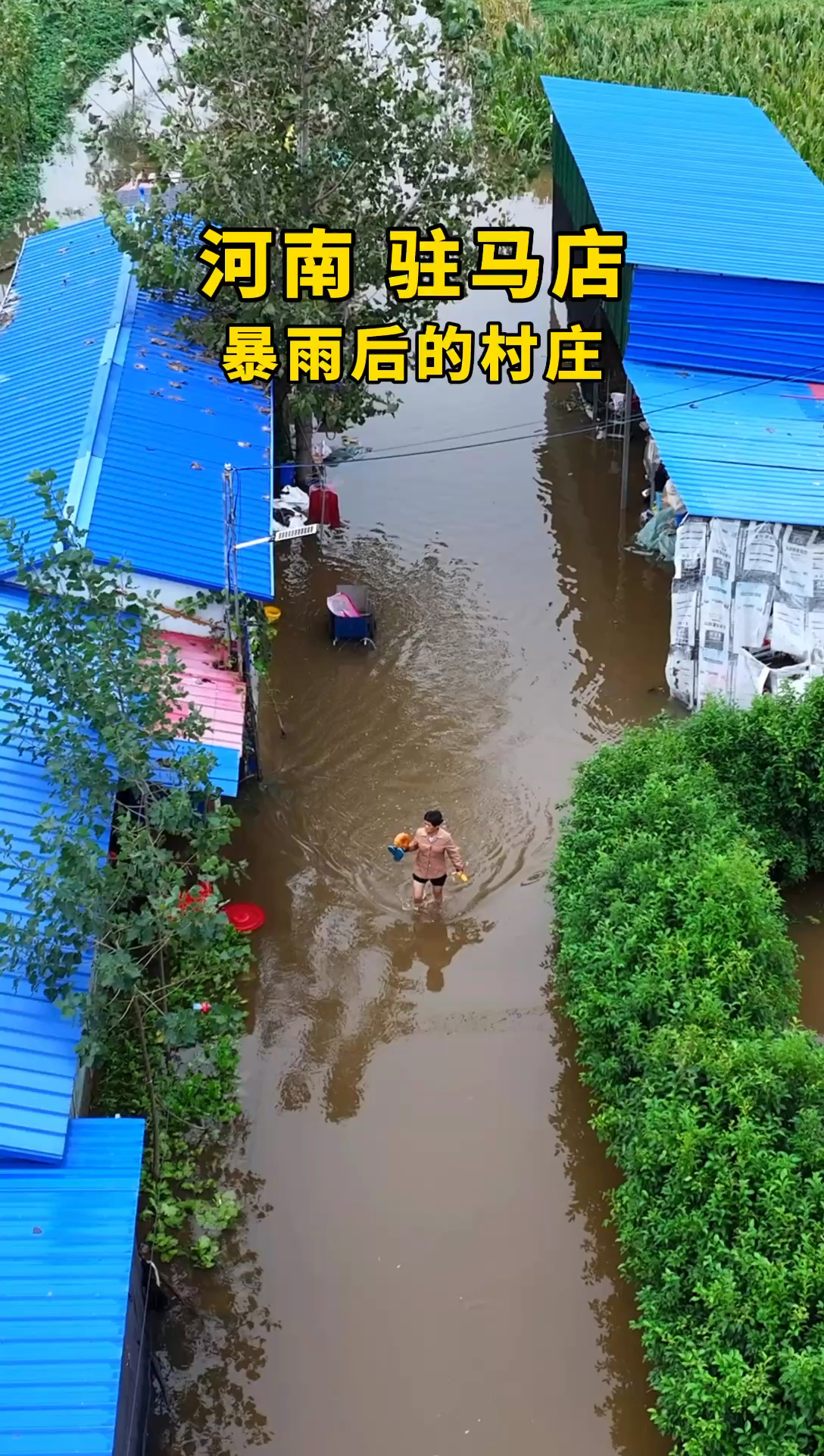 河南暴雨后的村子，庄稼地里也是水，眼看就要收秋了。 平舆·驻马店