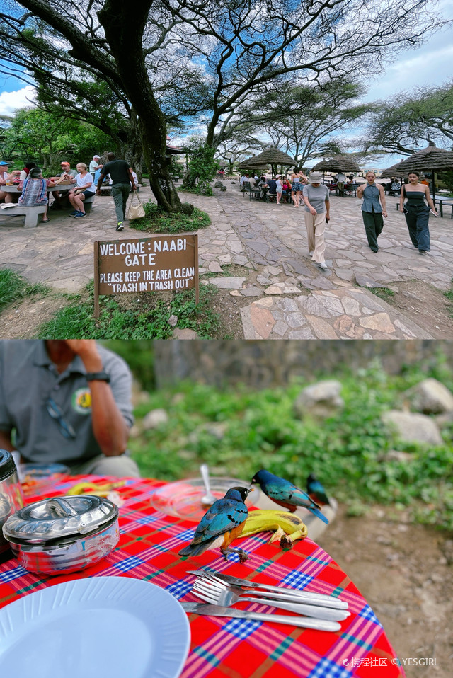 【坦桑尼亚】独行记_塞伦盖蒂国家公园玩法