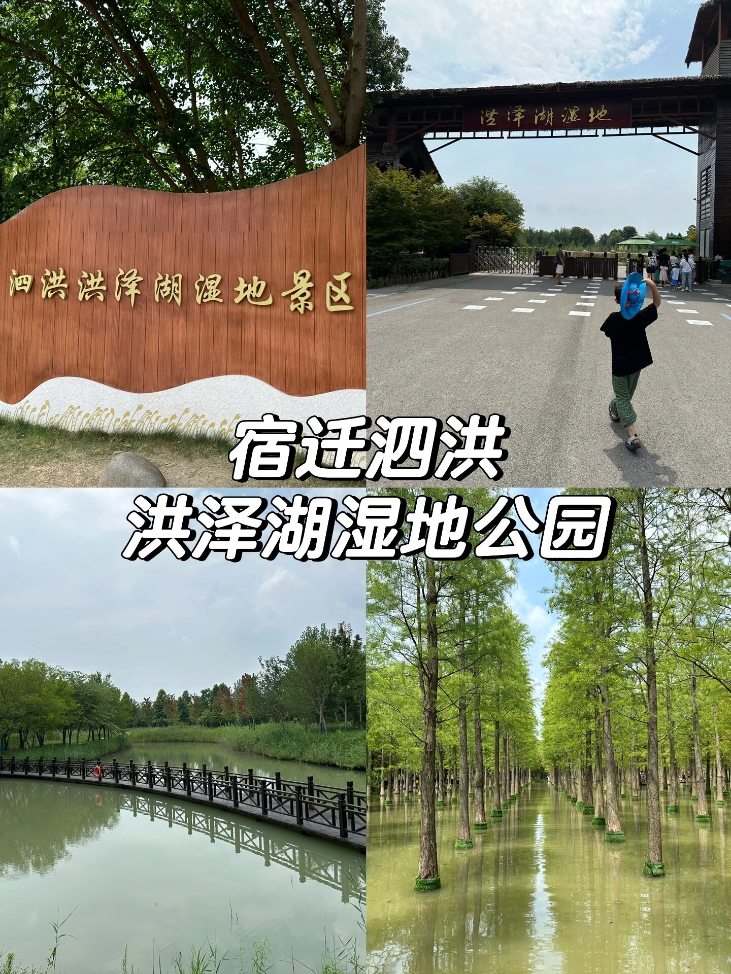 宿迁游 —洪泽湖湿地公园