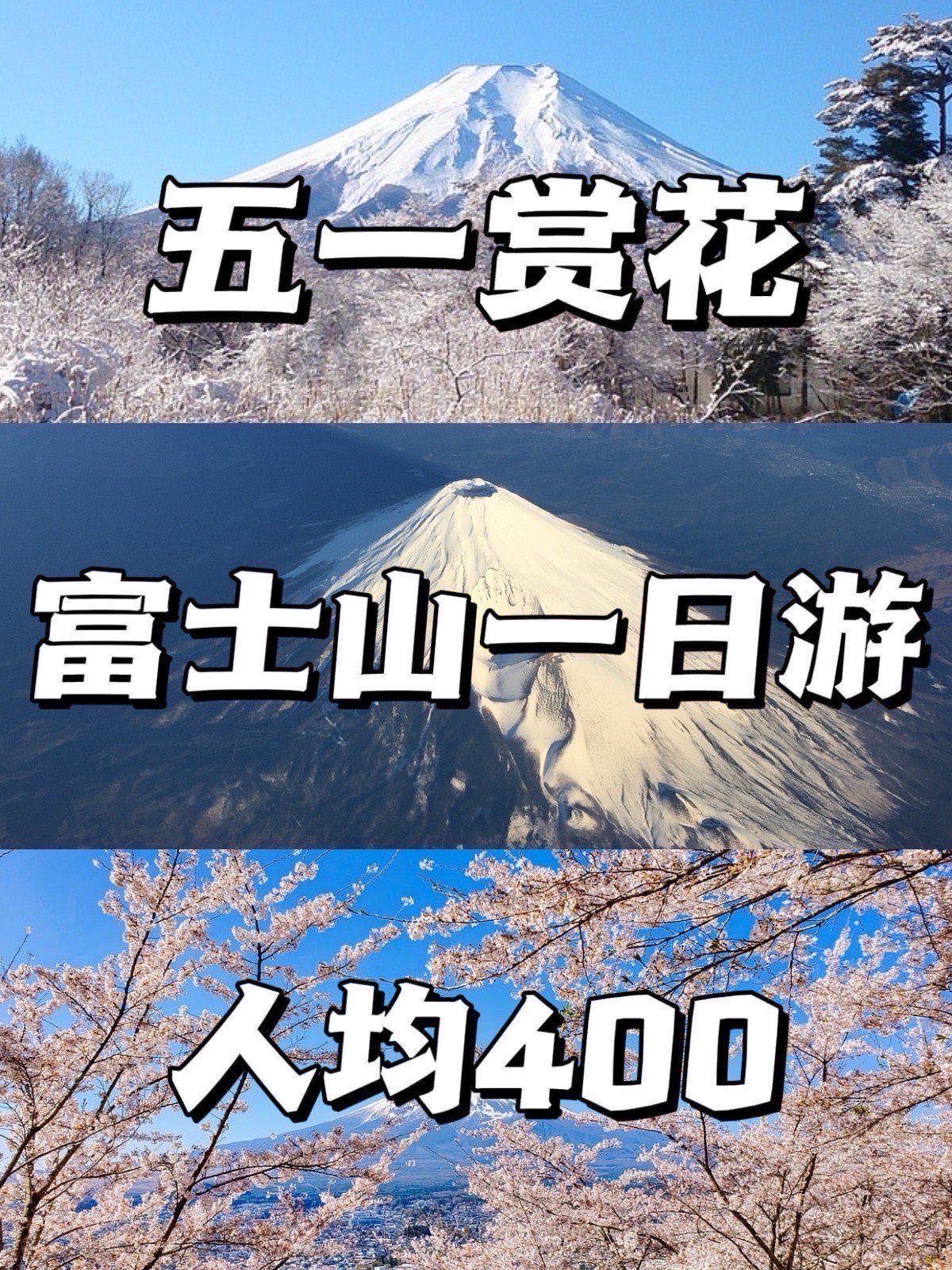 五一赏花❀人均400❗富士山一日游