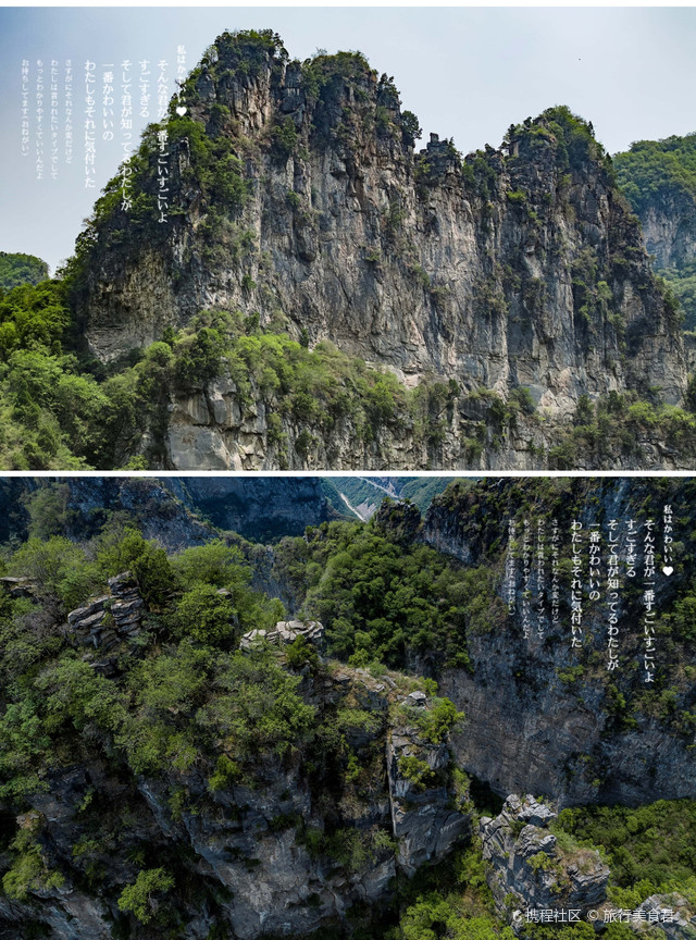 河南济源五龙口猴山