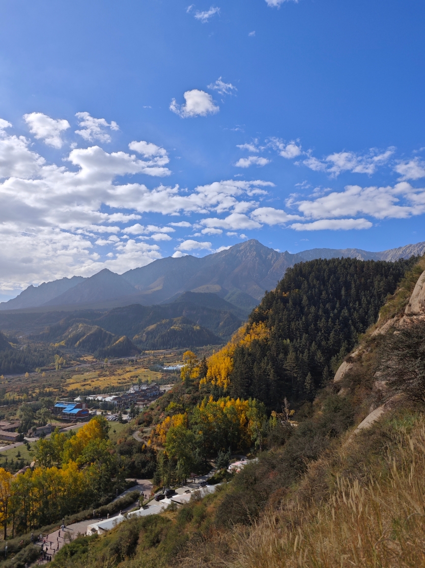 和顺源· 臊面包子(西关店)餐厅图片