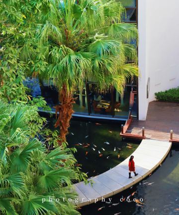 深圳华侨城洲际大酒店图片