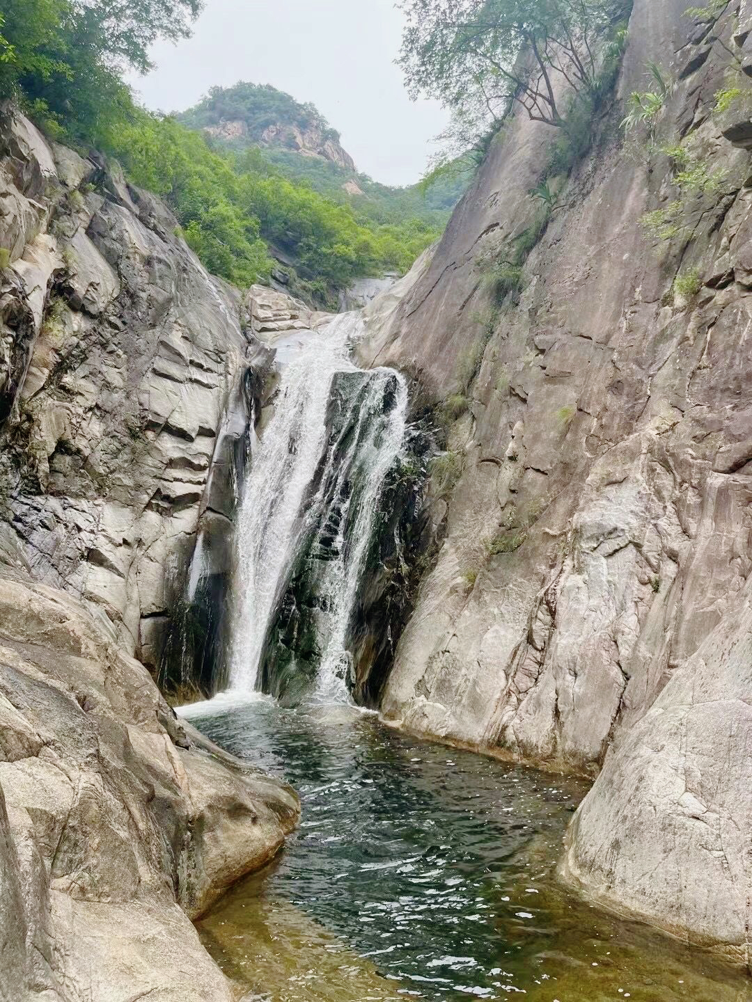 张沟农家乐8号餐厅图片