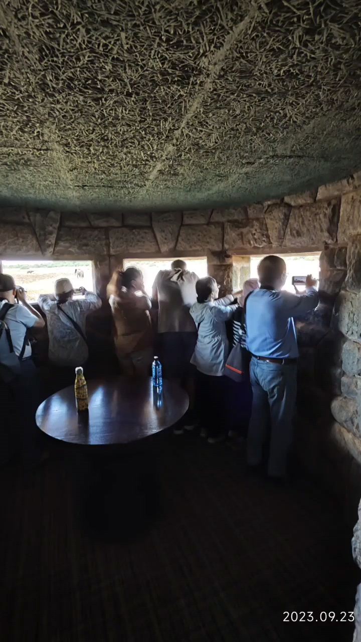 树屋……近在咫尺观野兽/之二 (肯尼亚🇰🇪阿伯德尔国家公园) 长枪短炮+手机， 无遮档全方位狂扫！