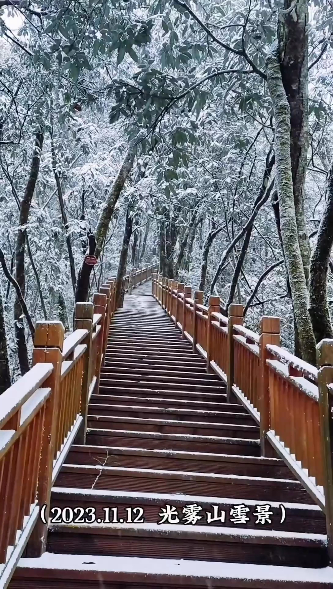 光雾❄️景