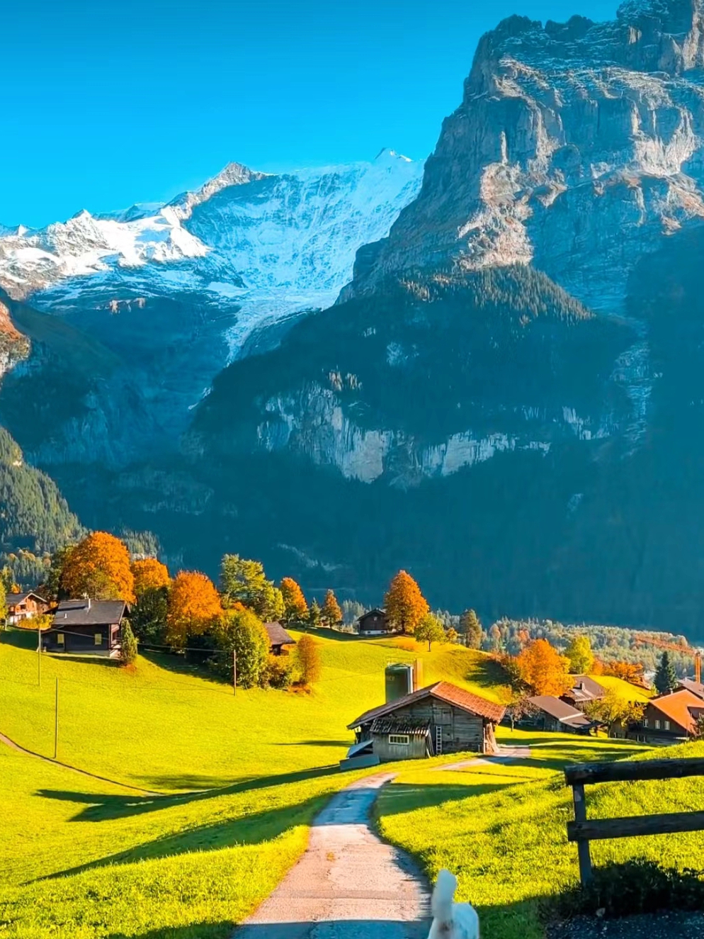 是真正的瑞士！风景美哭了！