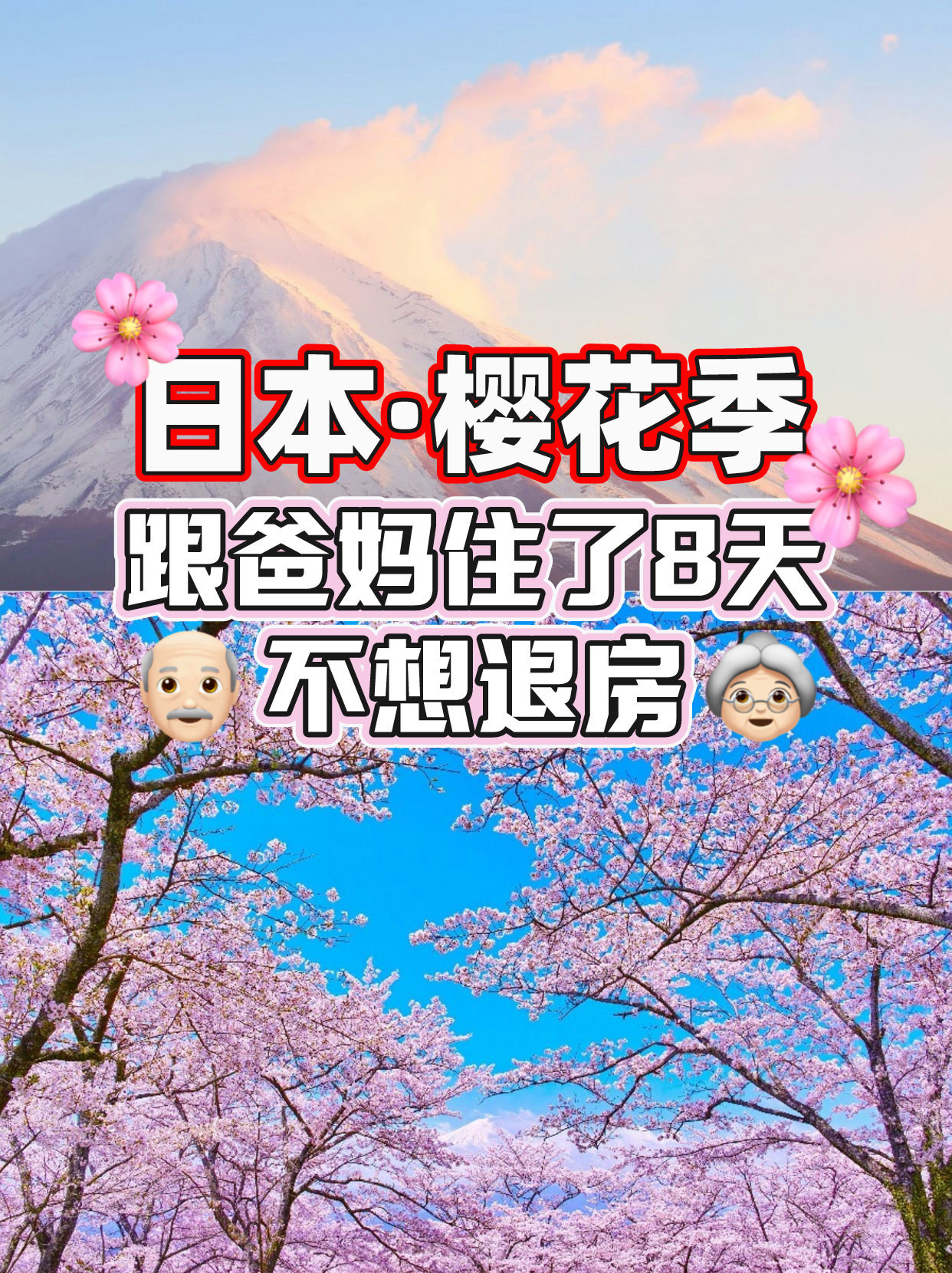 日本樱花季🌸跟爸妈住了8天，不想退房