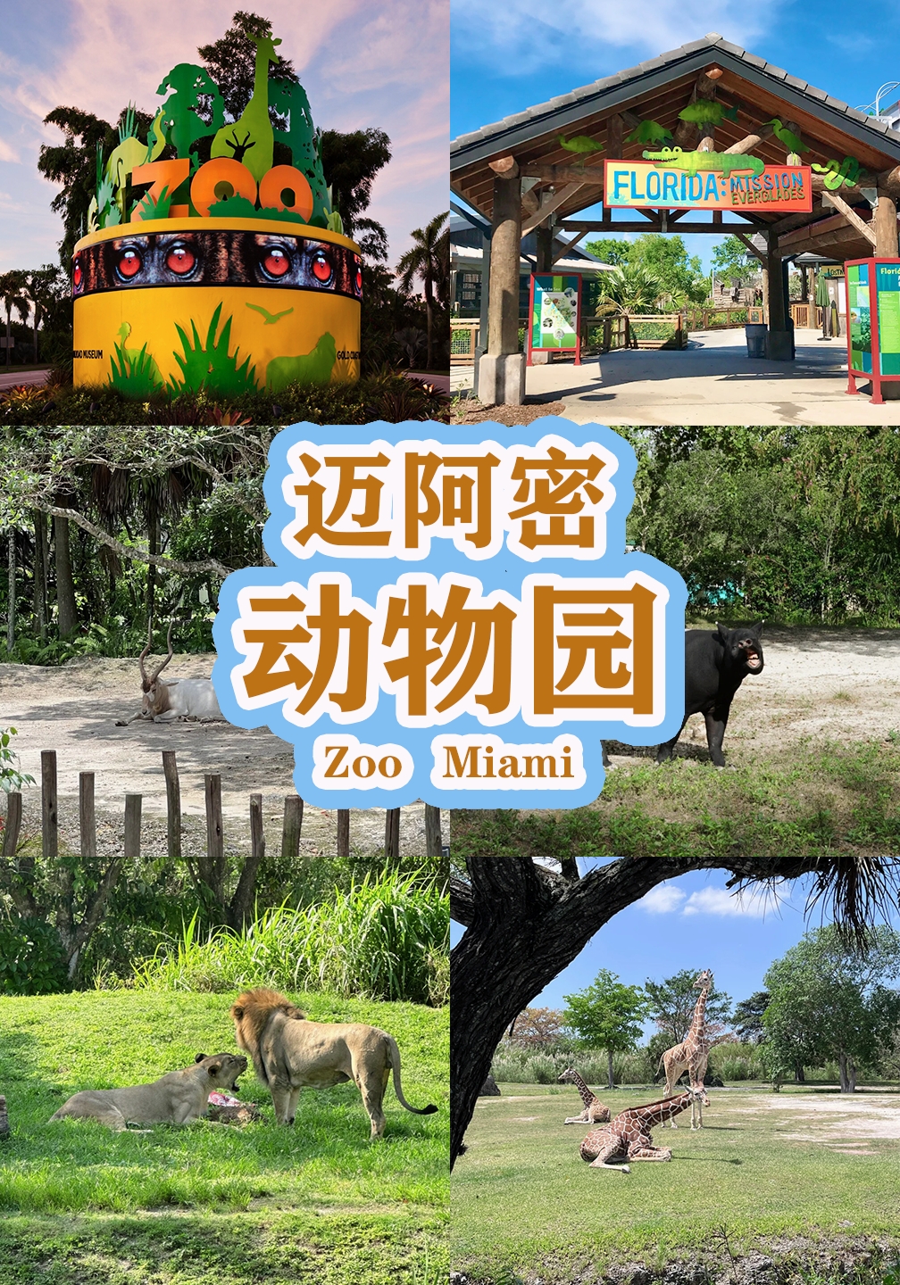 佛罗里达最大♾️的动物园丨迈阿密动物园