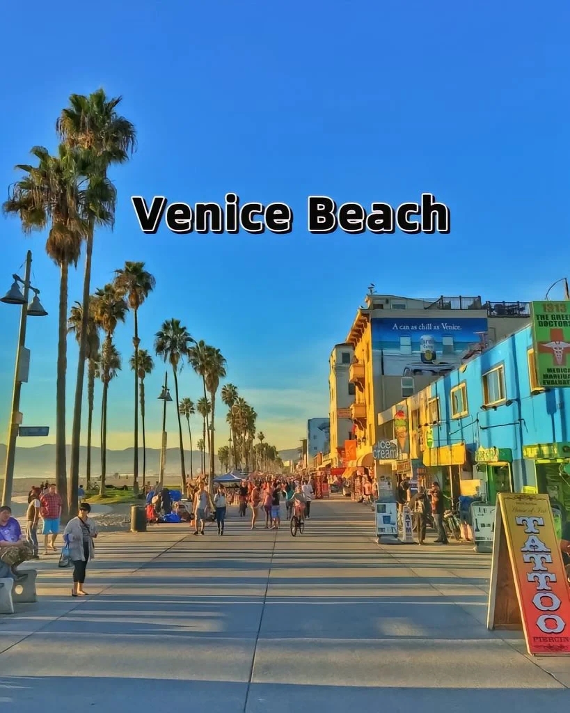 今天的惊喜是Venice Beach给的!