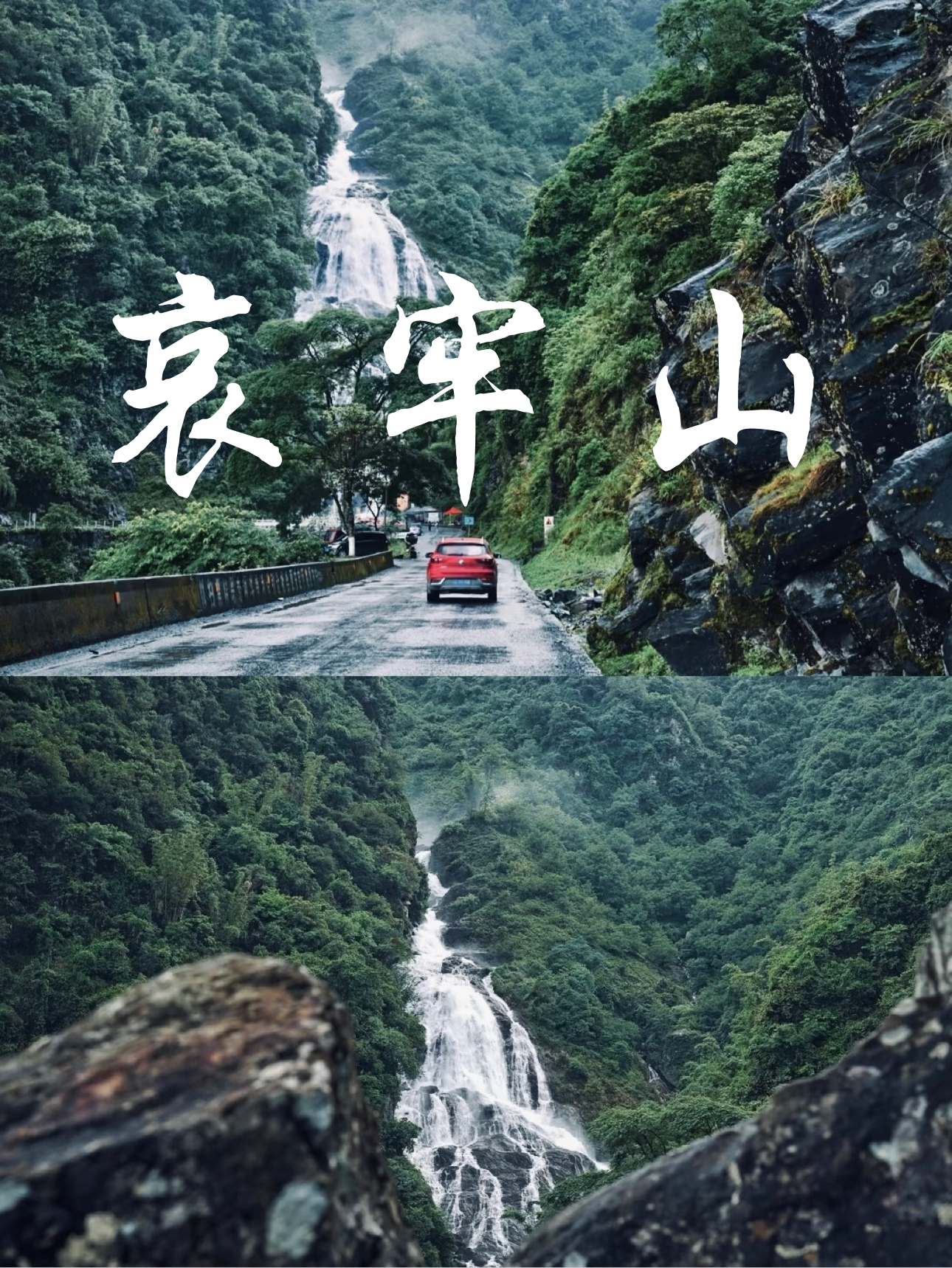 传说中的云南虫谷 —哀牢山⛰️