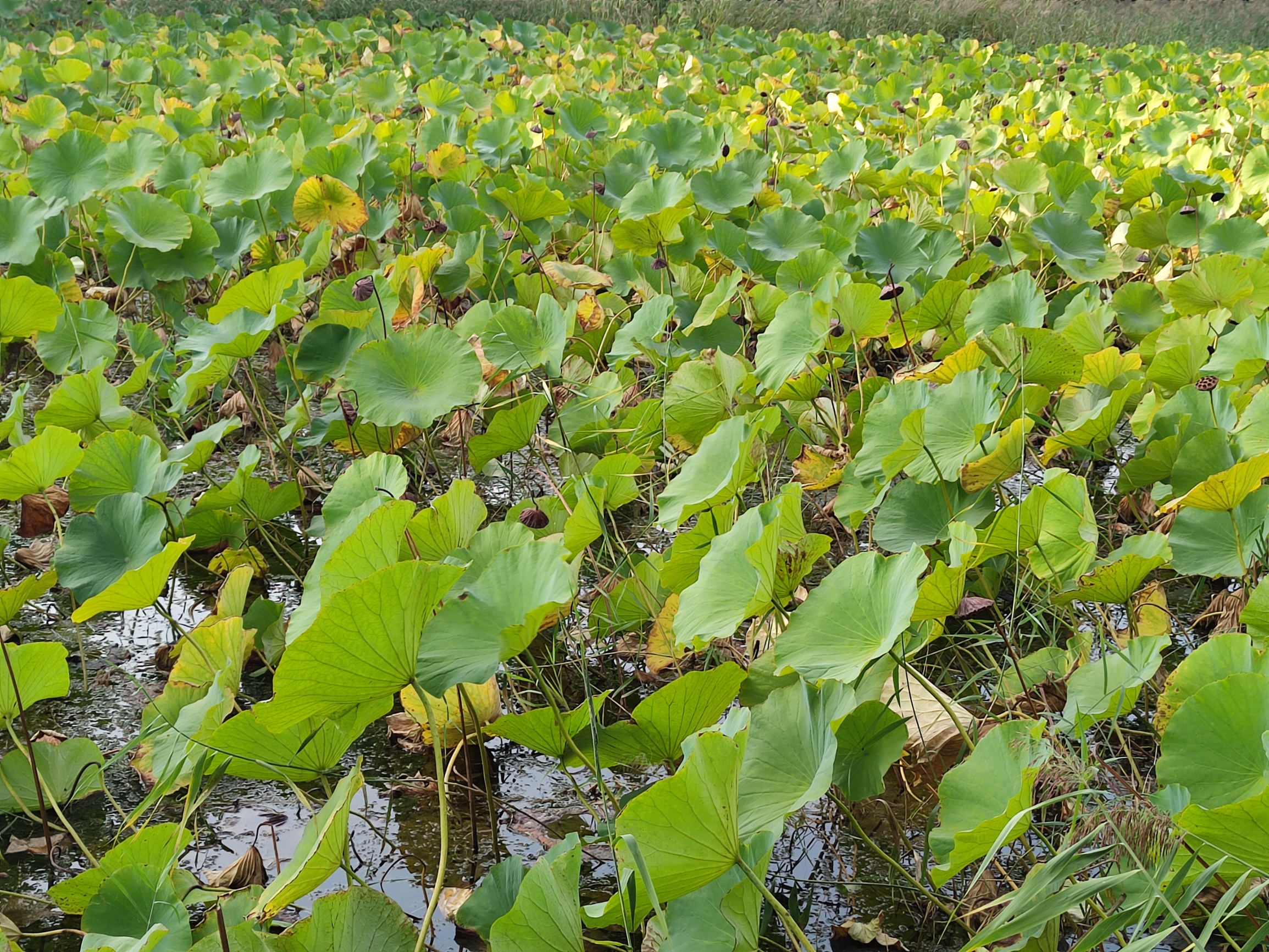 风景不错