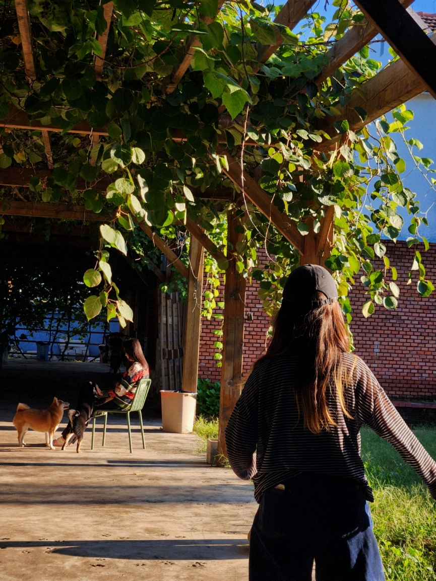 放风儿猫狗鹿鹿咖啡店