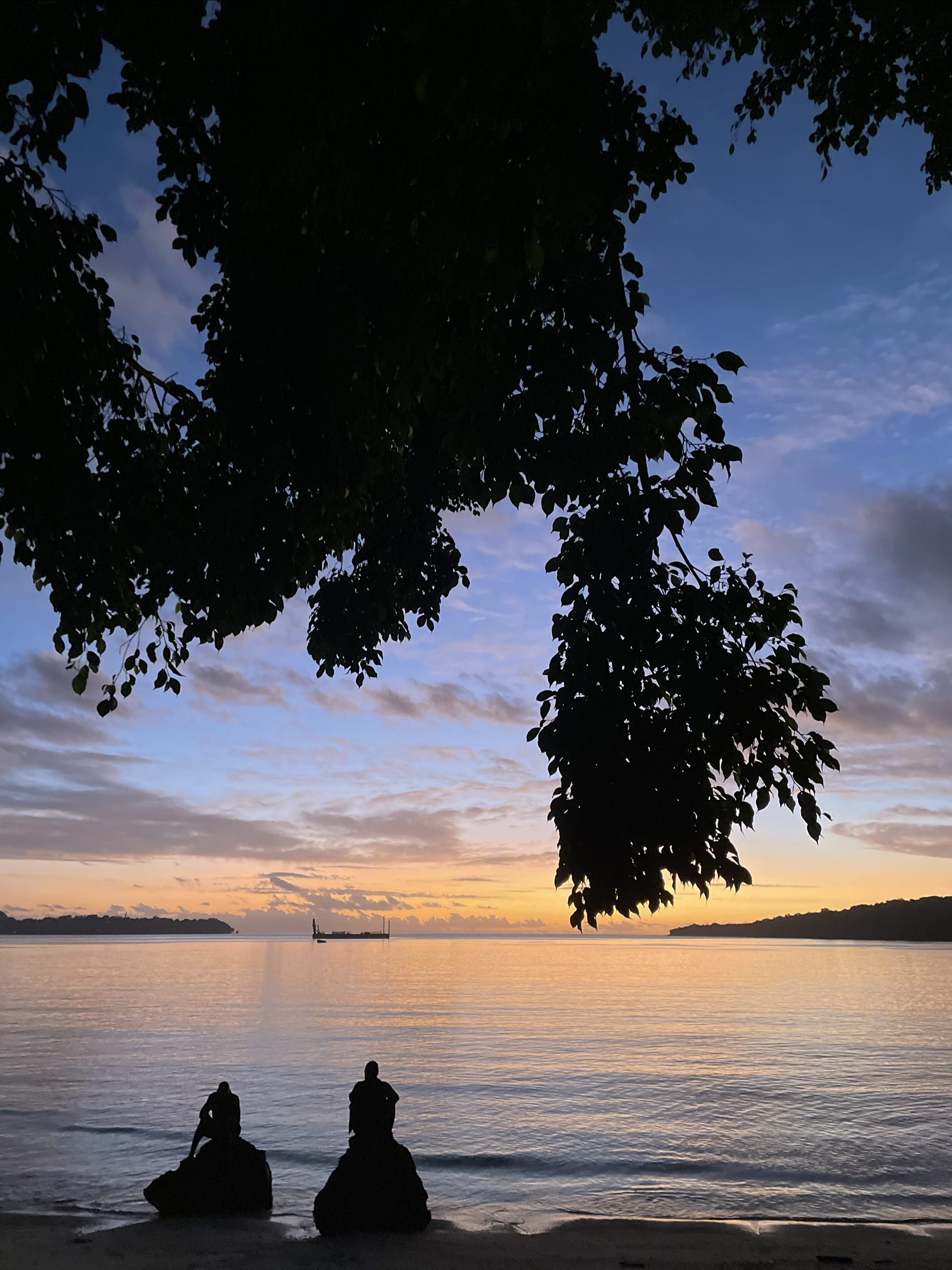 原相机📷下的port vila