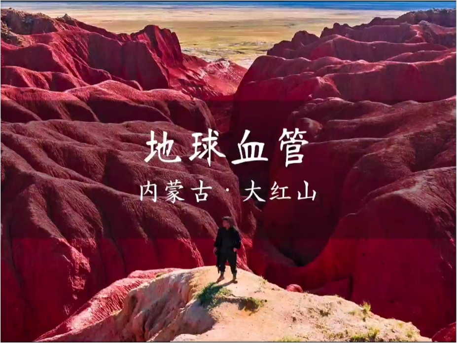没想到最后在草原上出现的那个大叔，一句话把我整的泪流满面# 地球血管 # 内蒙古大红山 # 旅行vl