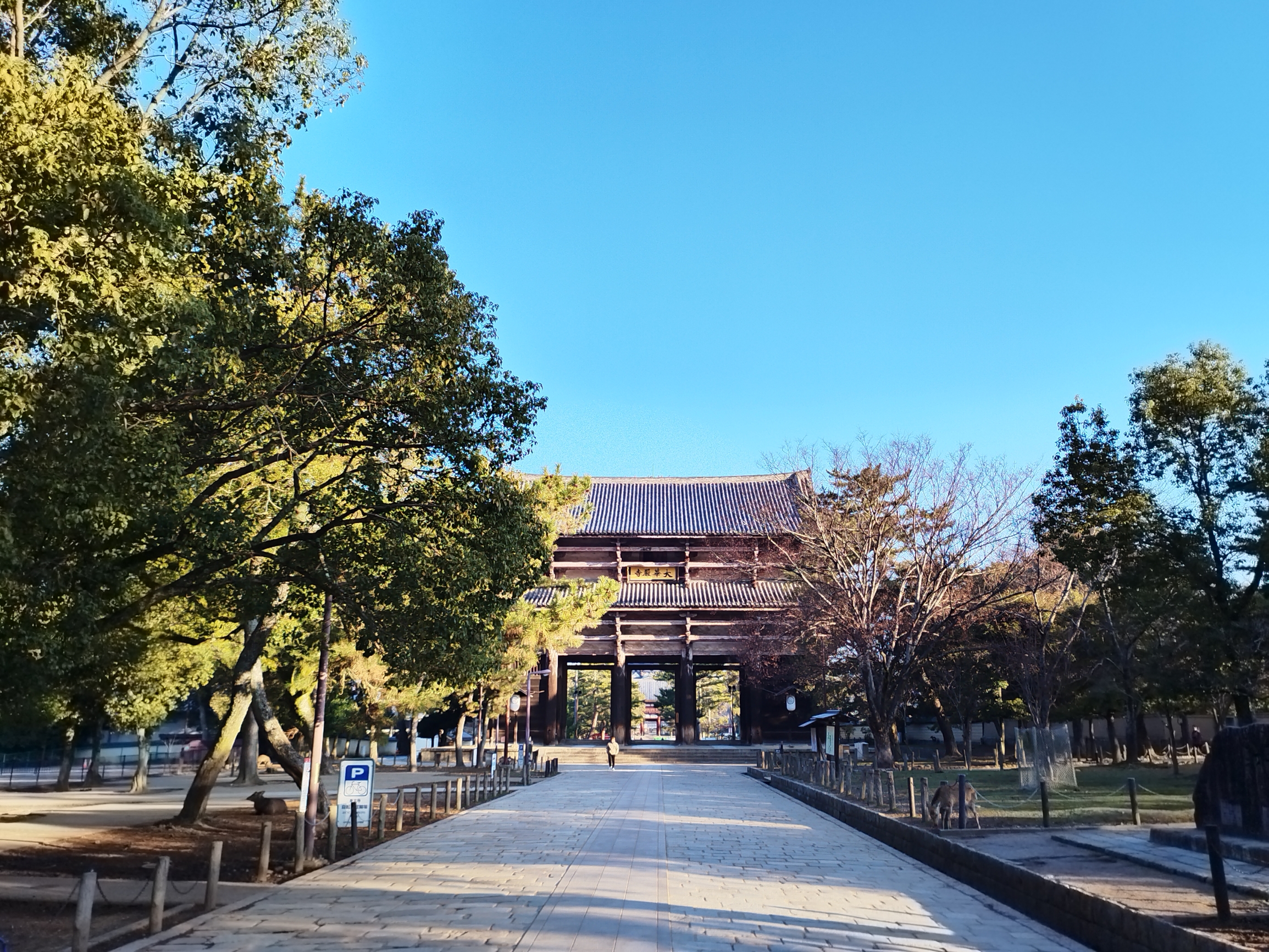 奈良清晨的东大寺