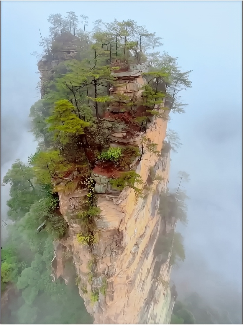 雨后张家界，雾中天子山 ！