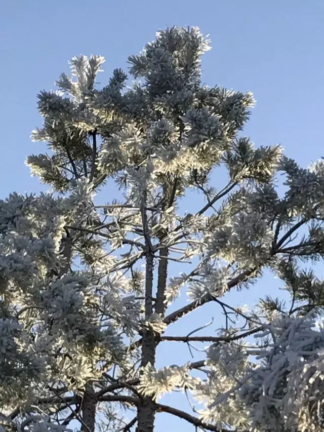 云峰山滑雪场