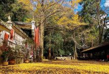 好家苑美食图片