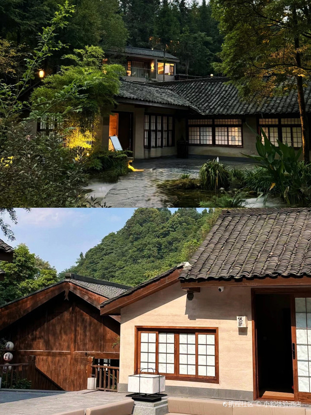 青城山!这家山间民宿已经next _807守望青山城店公寓都江堰打卡