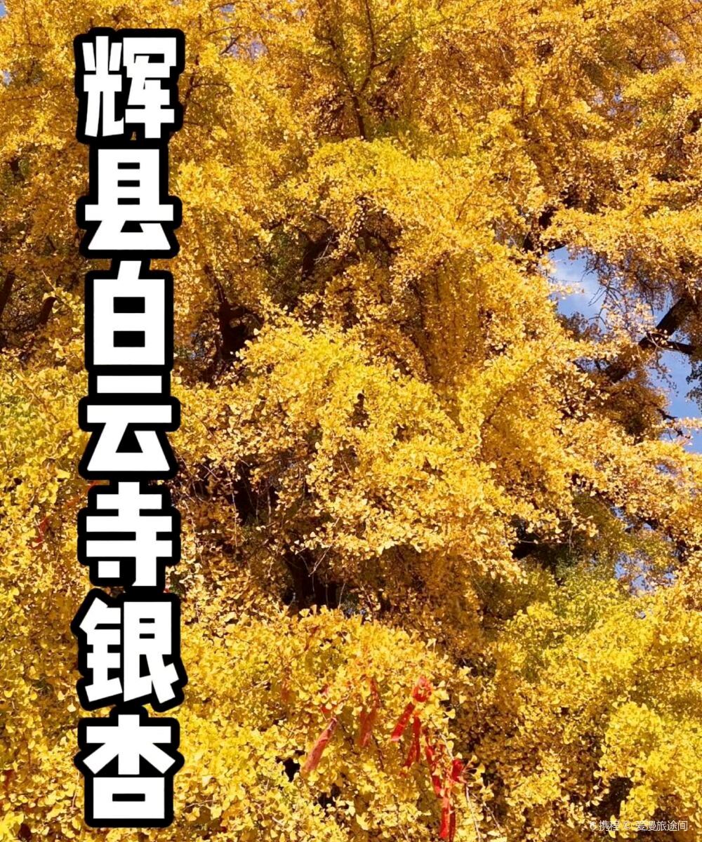 新乡万信酒店(DL胖东来大胖店)图片