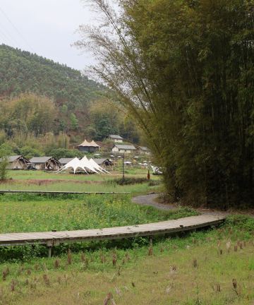 善野•山丘图片