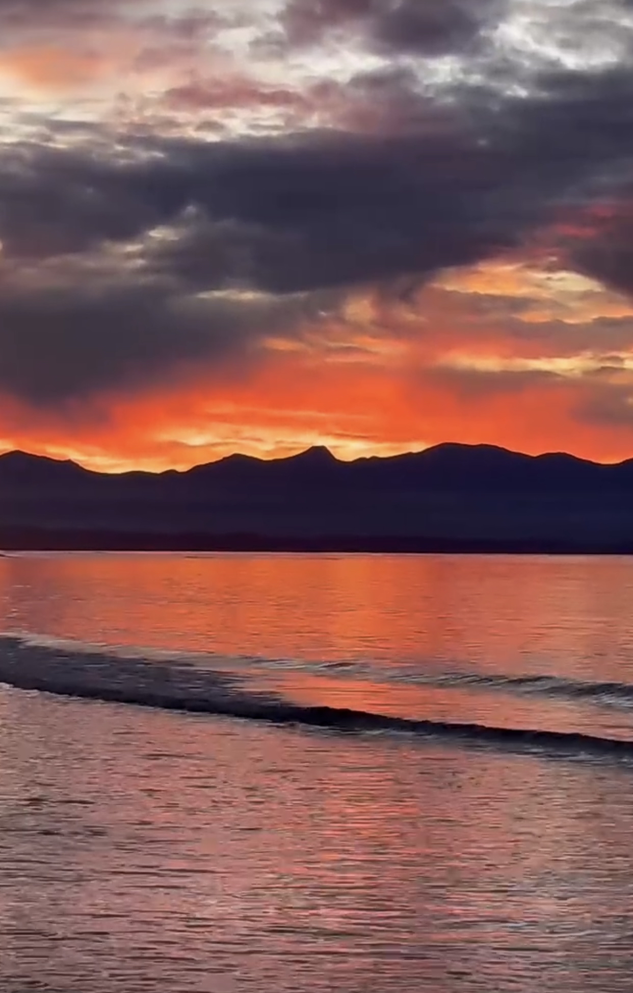沙滩上的夕阳 新西兰·大洋洲