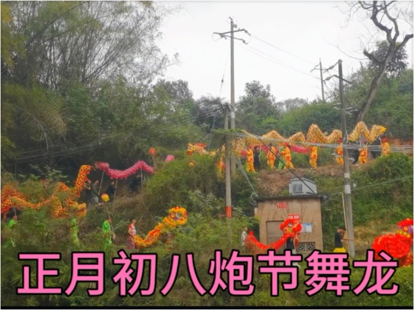 广西钦州灵山县丰塘镇正月初八炮节人山人海，还有民族习俗舞龙看