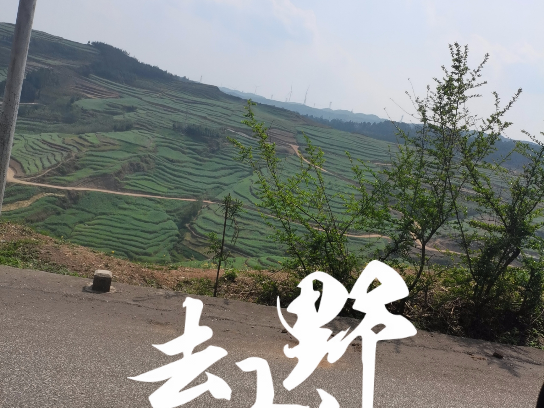 遥望野山，心旷神怡，为生活增添一抹亮色。