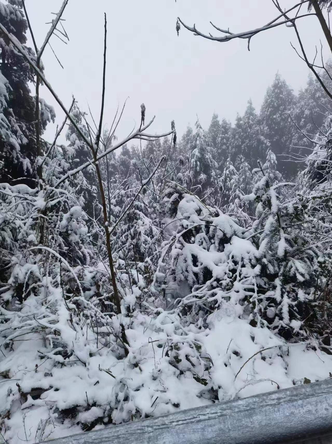 天台山赏雪