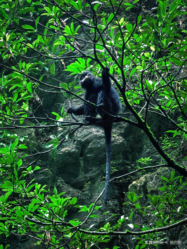 万盛黑山谷避暑,重庆小众徒步玩水宝藏地打卡