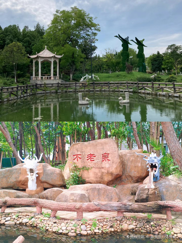 到底有多美!|打卡孝感天紫湖生态度假区