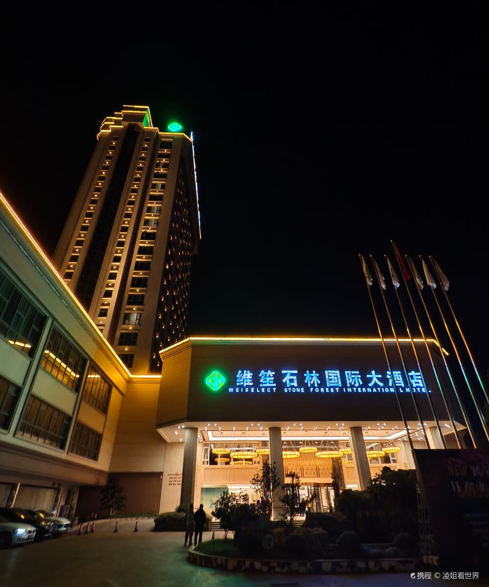 维笙石林国际大酒店图片