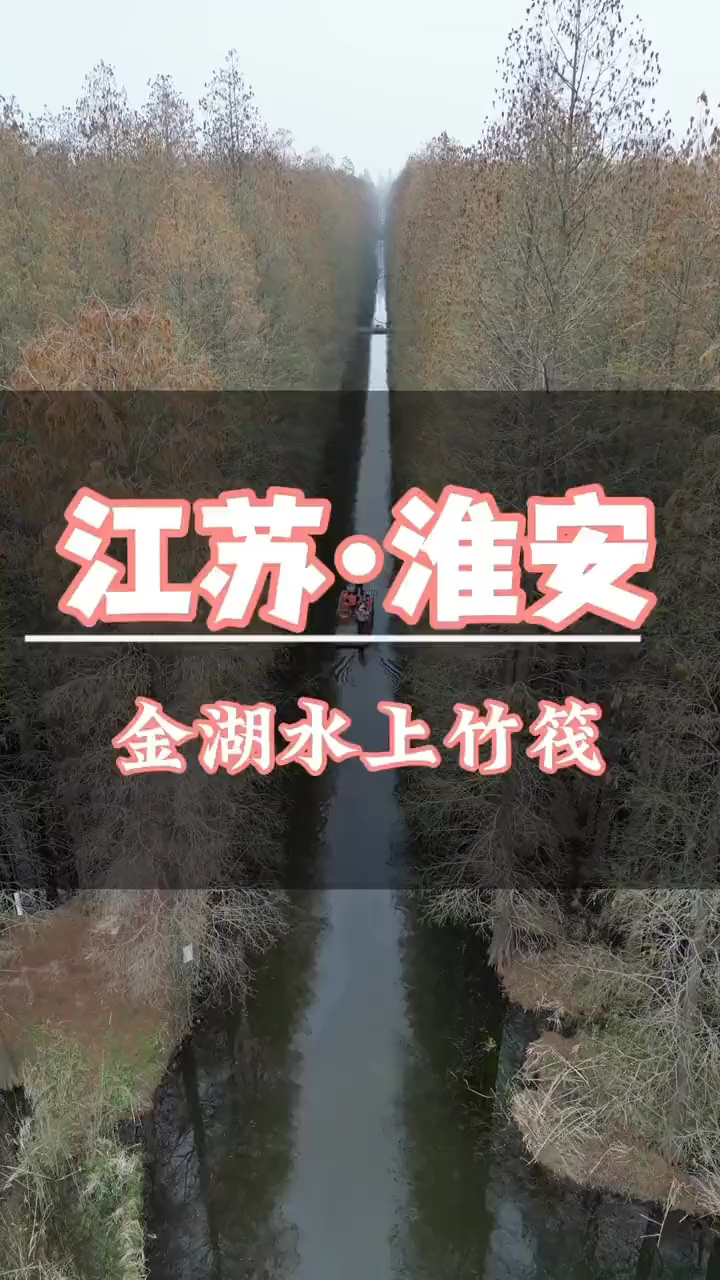 金湖的水上森林真不错，#水上森林 ＃湿地公园美景＃江浙沪周边游