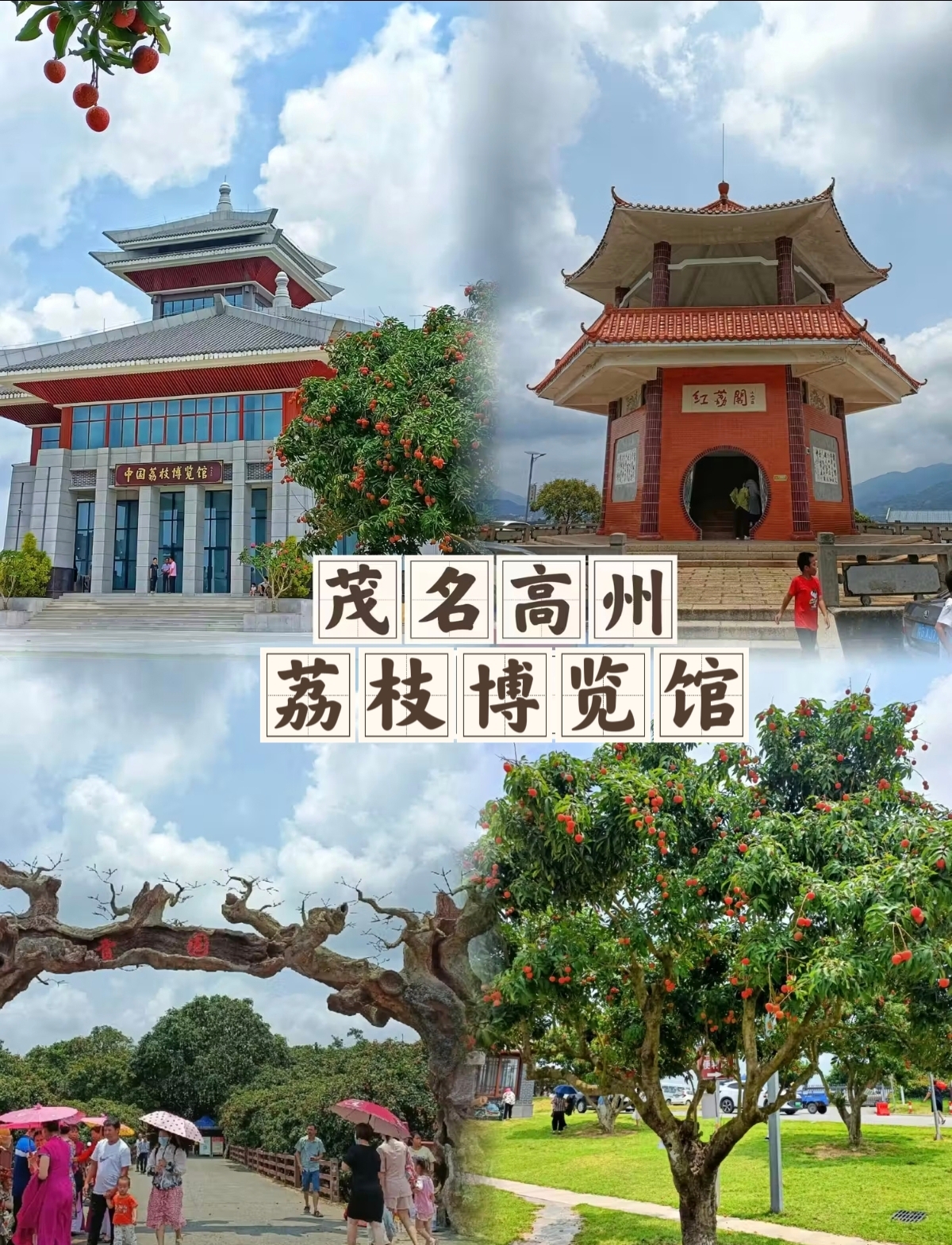贡园👉中国荔枝博览馆