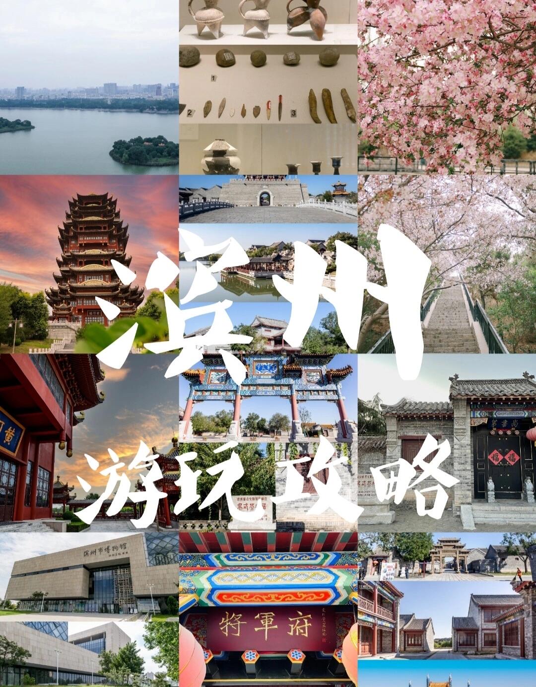 🌟 滨州一日游：体验黄河文化与渤海风情