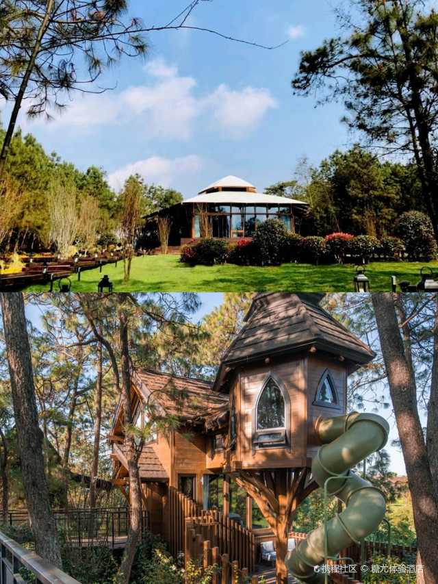 探店|云屯·星空野奢酒店_我悟了!原来森林里的城堡是这样的!