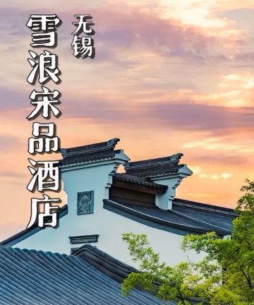 无锡雪浪宋品酒店图片