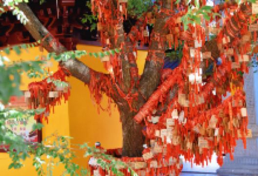 曹山京林禅寺景点图片