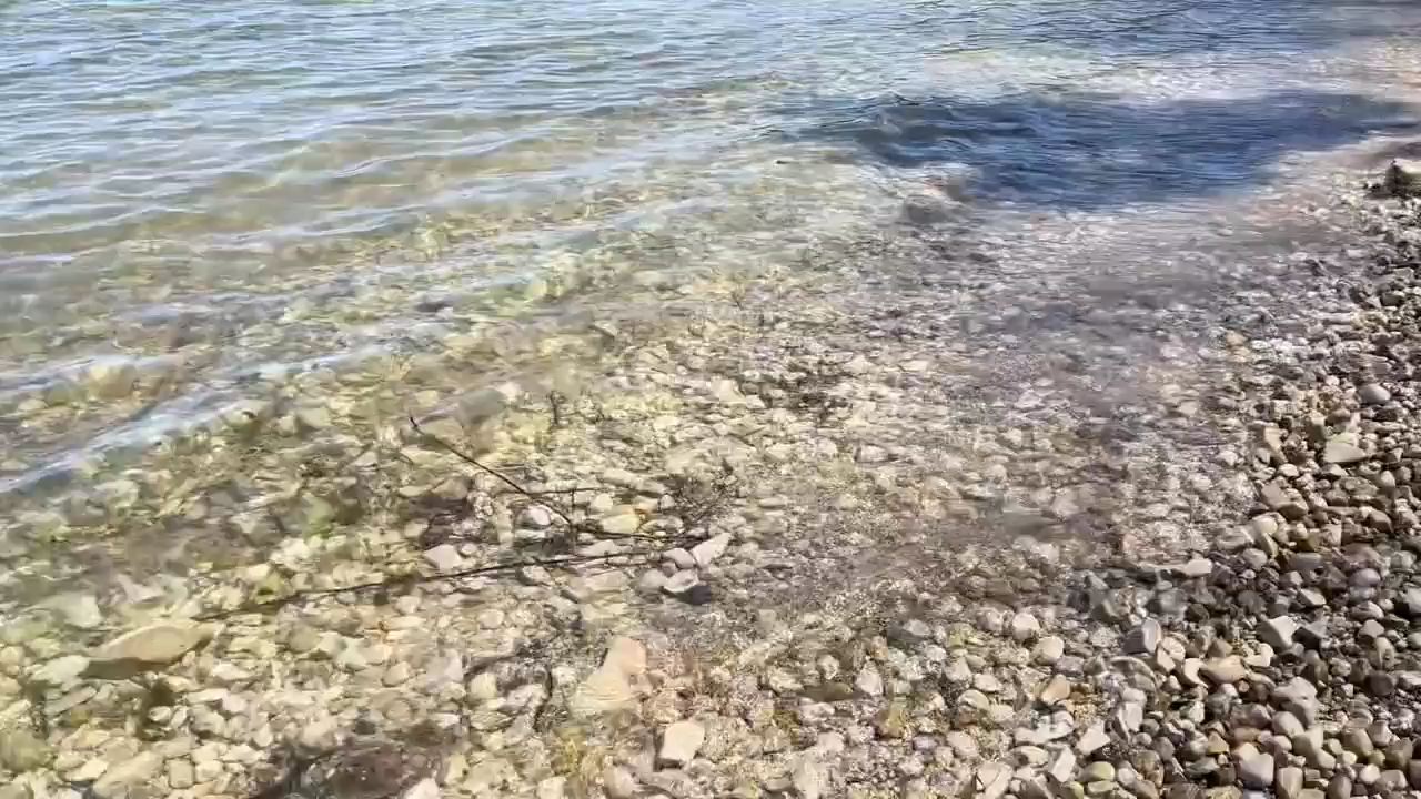 一如既往清澈见底的密歇根湖，这水太治愈。