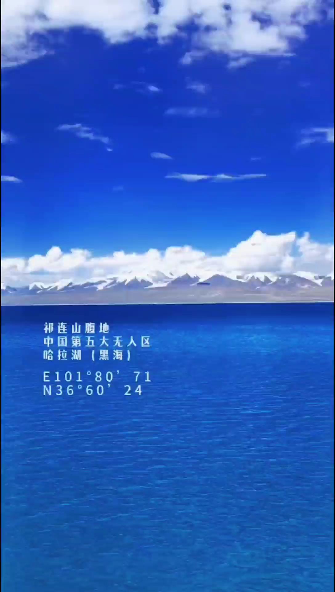 哈拉湖之青海湖之后的第二大咸水湖，也是动物门的天堂，敬请欣赏