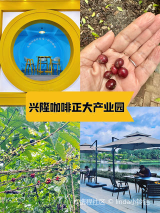 万宁正大兴隆咖啡文化园游玩攻略-正大兴隆咖啡文化园门票多少钱/价格表-团购票价预定优惠-景点地址在哪里/图片介绍/参观预约/旅游游览顺序攻略及 ...