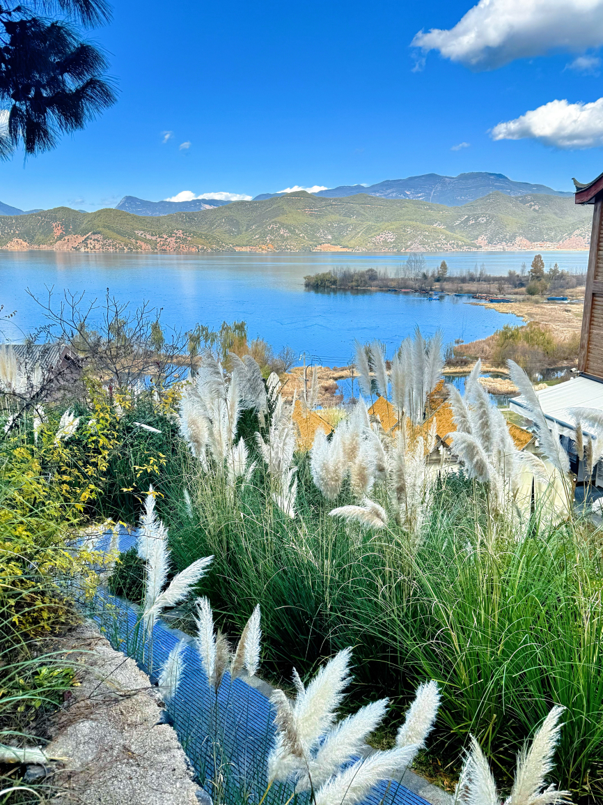 泸沽湖TORRE DE MARFIL汀下岛